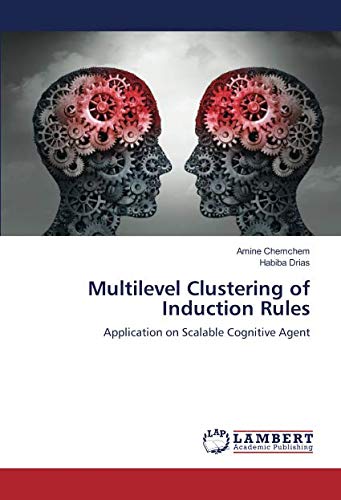 Multi_level_clustering_of induction_rules